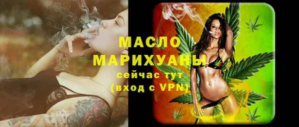индика Балабаново