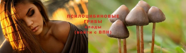 индика Балабаново