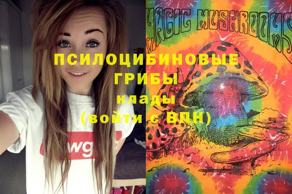 гидропоника Балахна