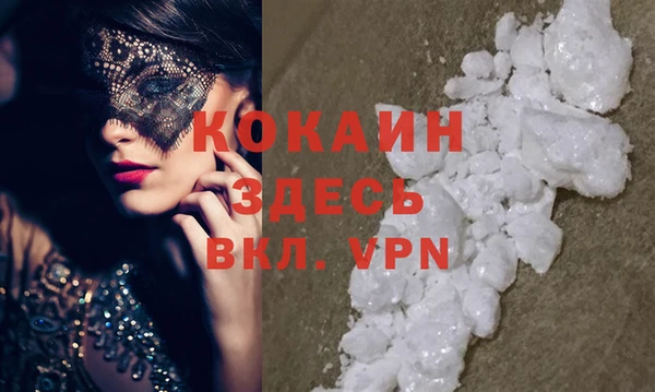 крисы Богородицк