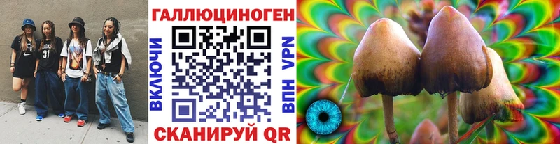 Купить закладки  Ярцево  Псилоцибиновые грибы Magic Shrooms 